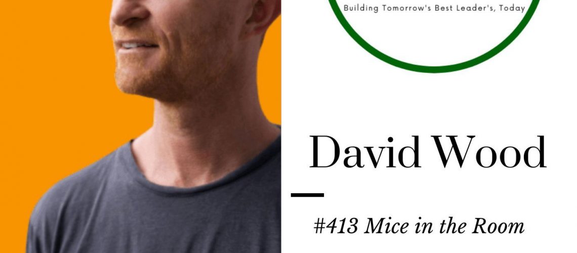 #413 David Wood Mice In The Room